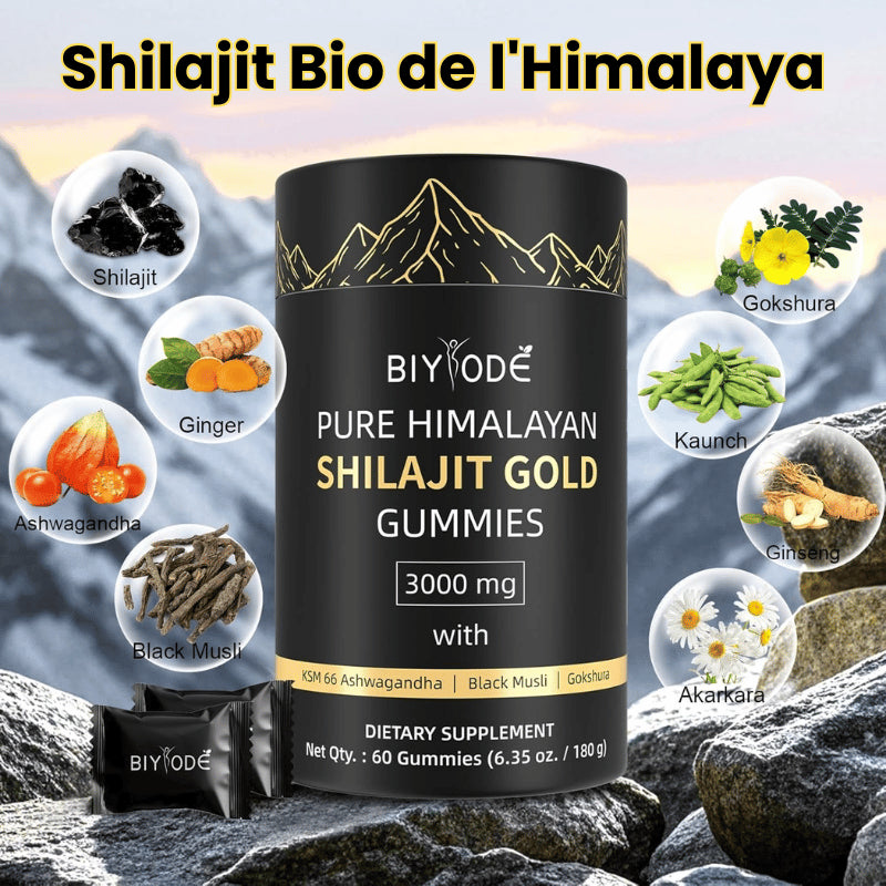 Shilajit bio de l'Himalaya et ses ingrédients associés