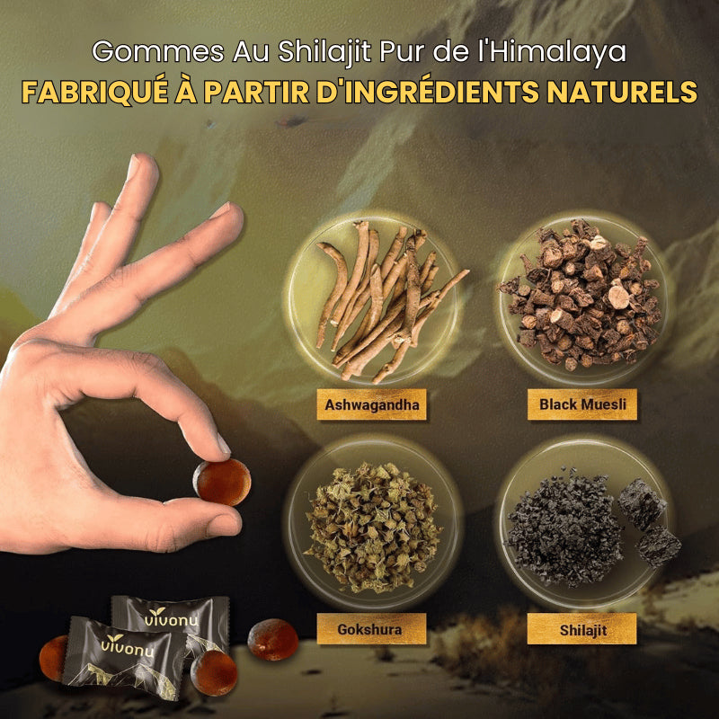 VIVONU™ Bonbons Gélifiés de Shilajit Pure de l'Himalaya - (60 Bonbons)