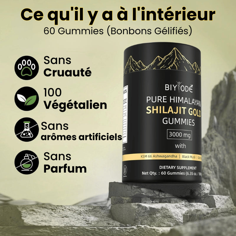 BIYODE™ Gummies de Shilajit Pure de l'Himalaya - (60 Bonbons Gélifiés)