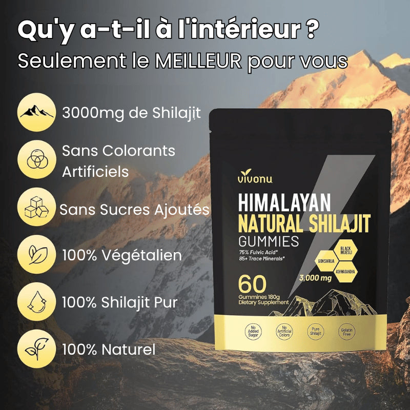 VIVONU™ Bonbons Gélifiés de Shilajit Pure de l'Himalaya - (60 Bonbons)